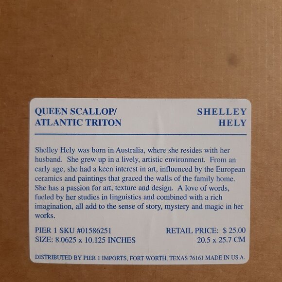 ð
ºPIER 1 Shelley Hely Framed Seashell Lithograph Print - Picture 4 of 7